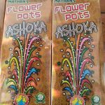 Flower Pots Asoka