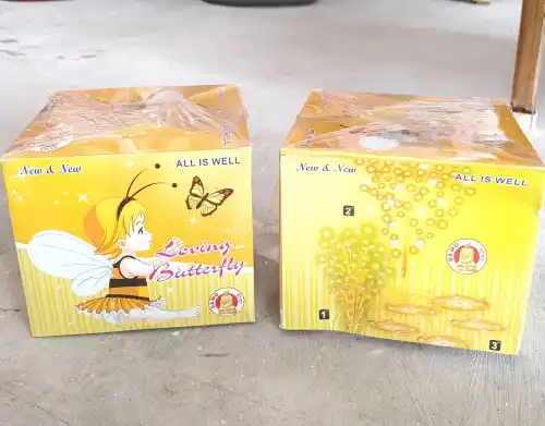 Music Butterfly (3 In1)
