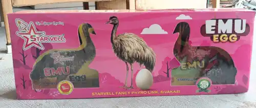 Emu Egg