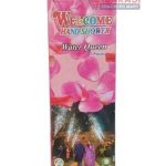 Welcome Hand Shower